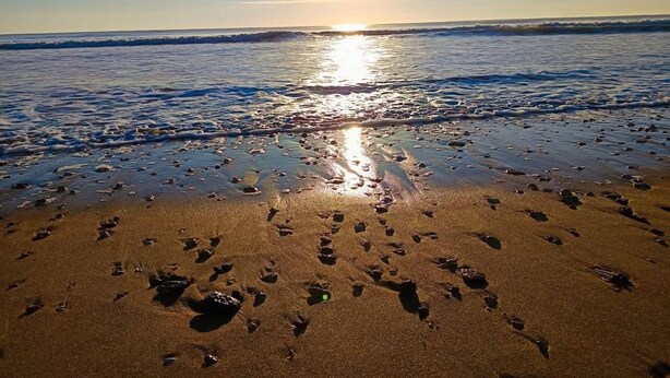Una playa con huellas en la arena y el sol reflejado en el agua.