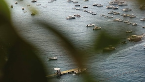 A view of a marina with numerous boats docked. - Room-terrazza del Sole - Camera Maestral (Positano)