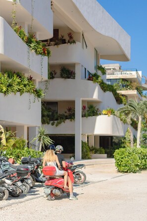 Exterior - Vrbo Property (Tulum)