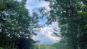 Une zone boisée, délimitée par une clôture en bois, un mur de pierres et un espace verdoyant au premier plan.