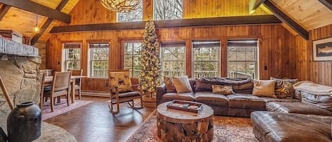 Smart TV, fireplace, books