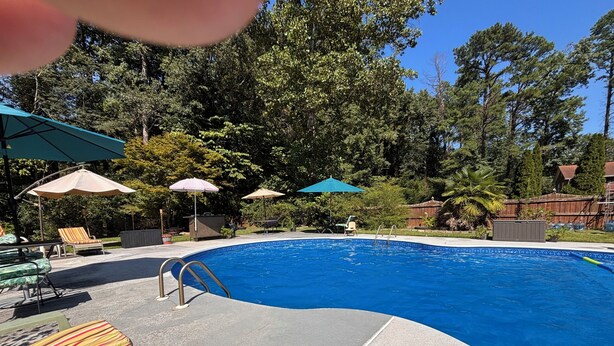 Piscina com espreguiçadeiras e guarda-sóis, rodeada por árvores.