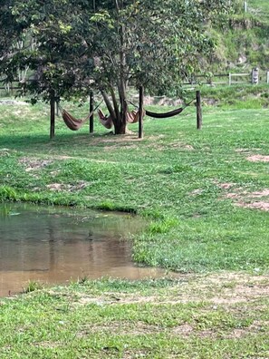 A grassy area with a small pond, trees, and hammocks. - Pousada rural família Nicolin  (Paraibuna)