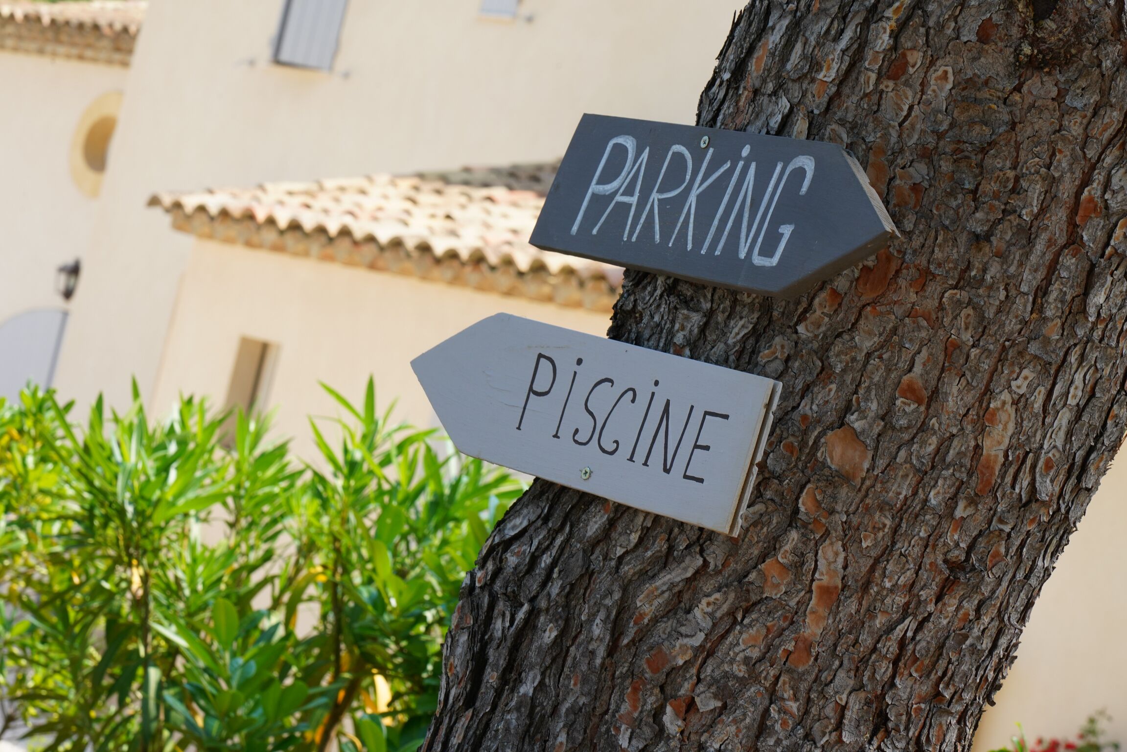 A tree with two directional signs: one pointing to 'PARKING' and the other to 'PISCINE.'