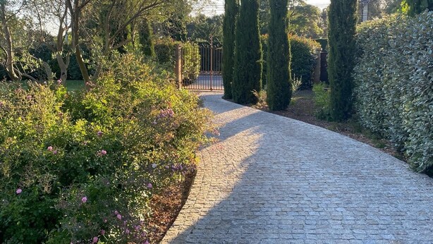 Un camino pavimentado en un jardín, rodeado de follaje y árboles altos.