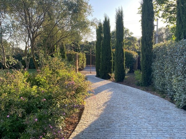 Un camino pavimentado en un jardín, rodeado de follaje y árboles altos.