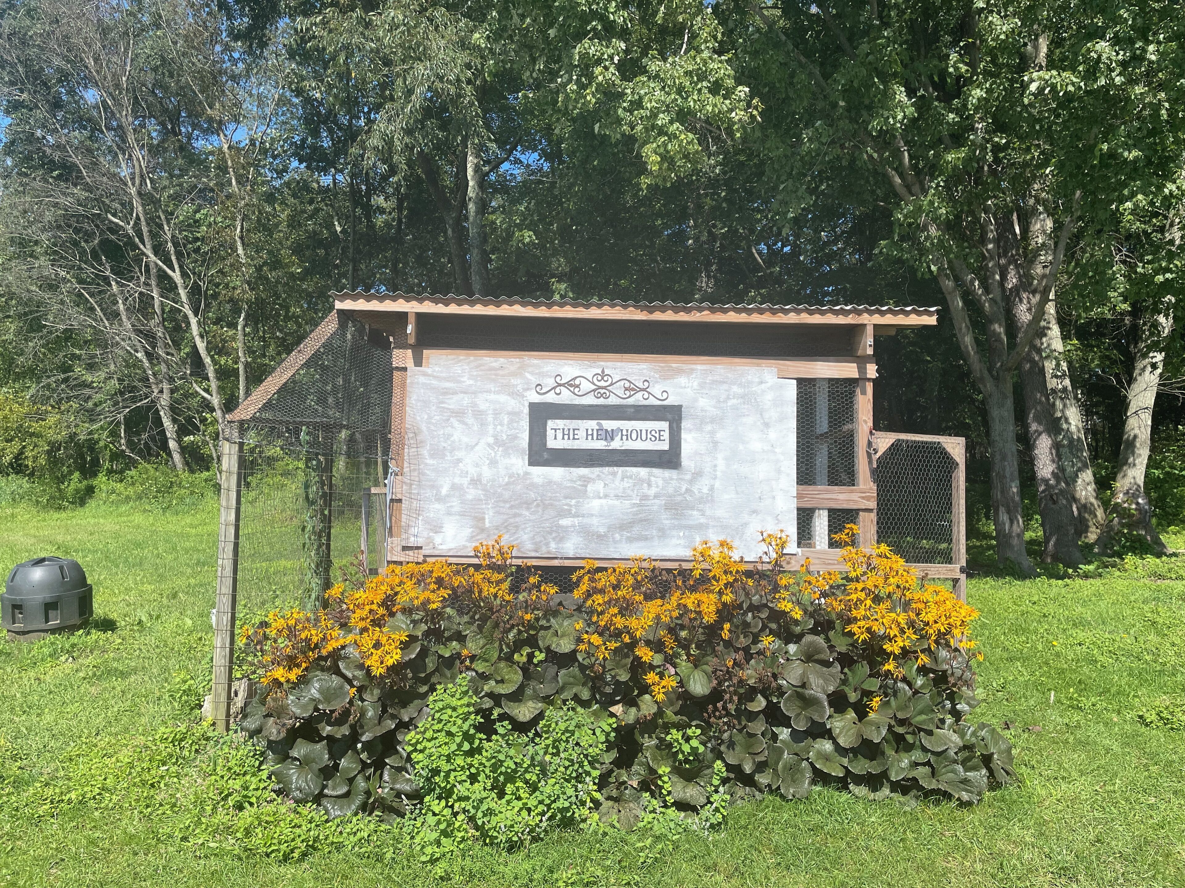 Enceinte de l’hébergement