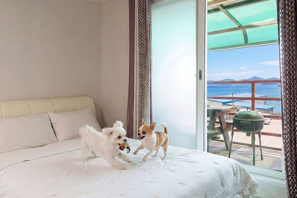 Een slaapkamer met een bed, twee honden, uitzicht op zee en een balkon met een barbecue.
