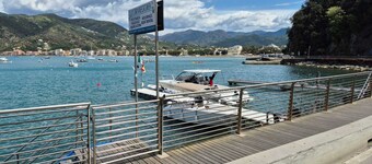 SESTRI WA 330 NIGHT EXPERIENCE  (CIN IT010059D30LKZWSGH)