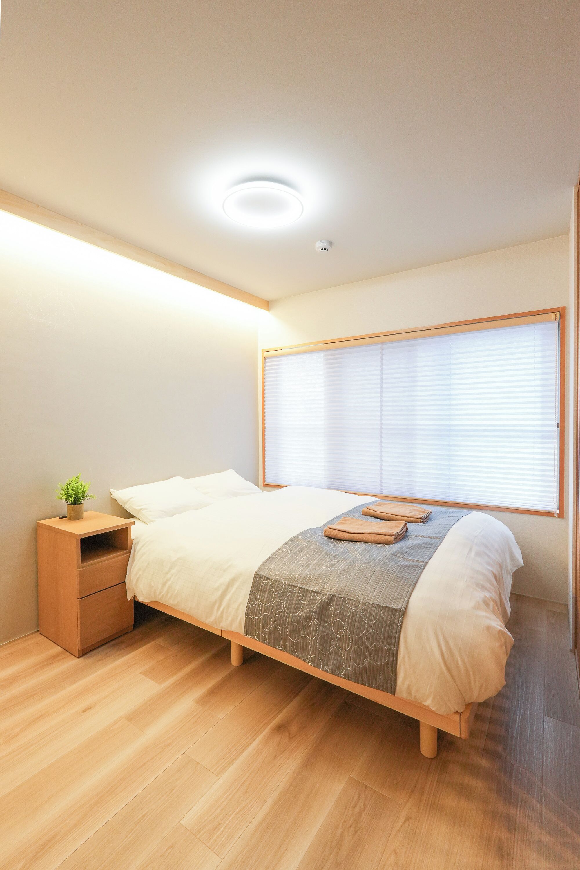 Basic Apartment, 1 Bedroom, Kitchen (202)