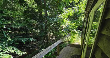 Peaceful Streamside 1-bedroom cabin with AC edge of Pisgah, Craggy