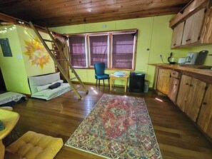 Living area - Peaceful Creek Side cabin with AC and onsite sauna edge of Pisgah, Craggy (Barnardsville)