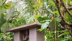 A small, rustic structure with a door, surrounded by lush greenery and stone steps. - Aris Villa Ubud (Ubud)