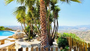 Eine Palme, ein Holzzaun und ein Pool.