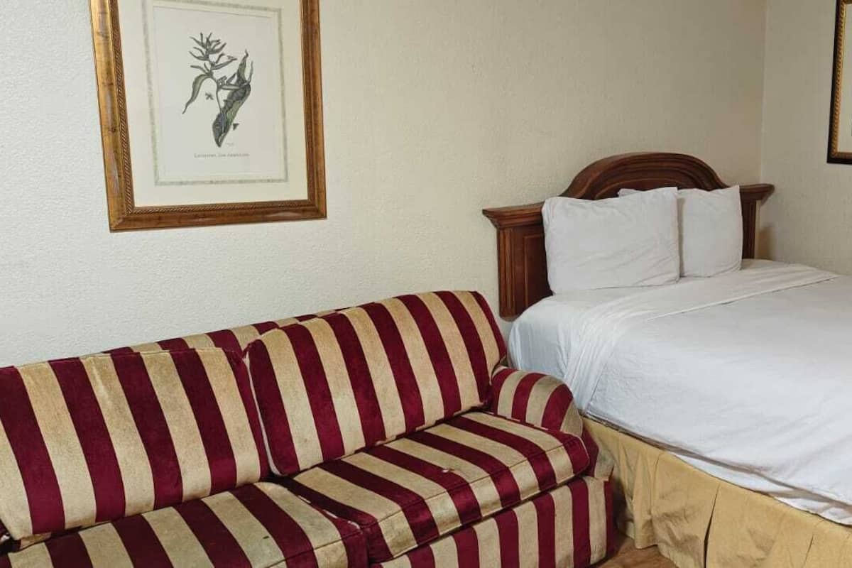 Room, 1 King Bed, Smoking