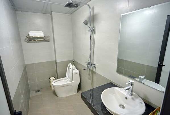 Shower, hair dryer, bidet, towels