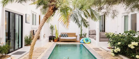 A pool area with a seating arrangement, surrounded by plants and a palm tree.