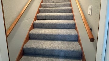 A carpeted staircase with wooden handrails and a light switch on the wall.