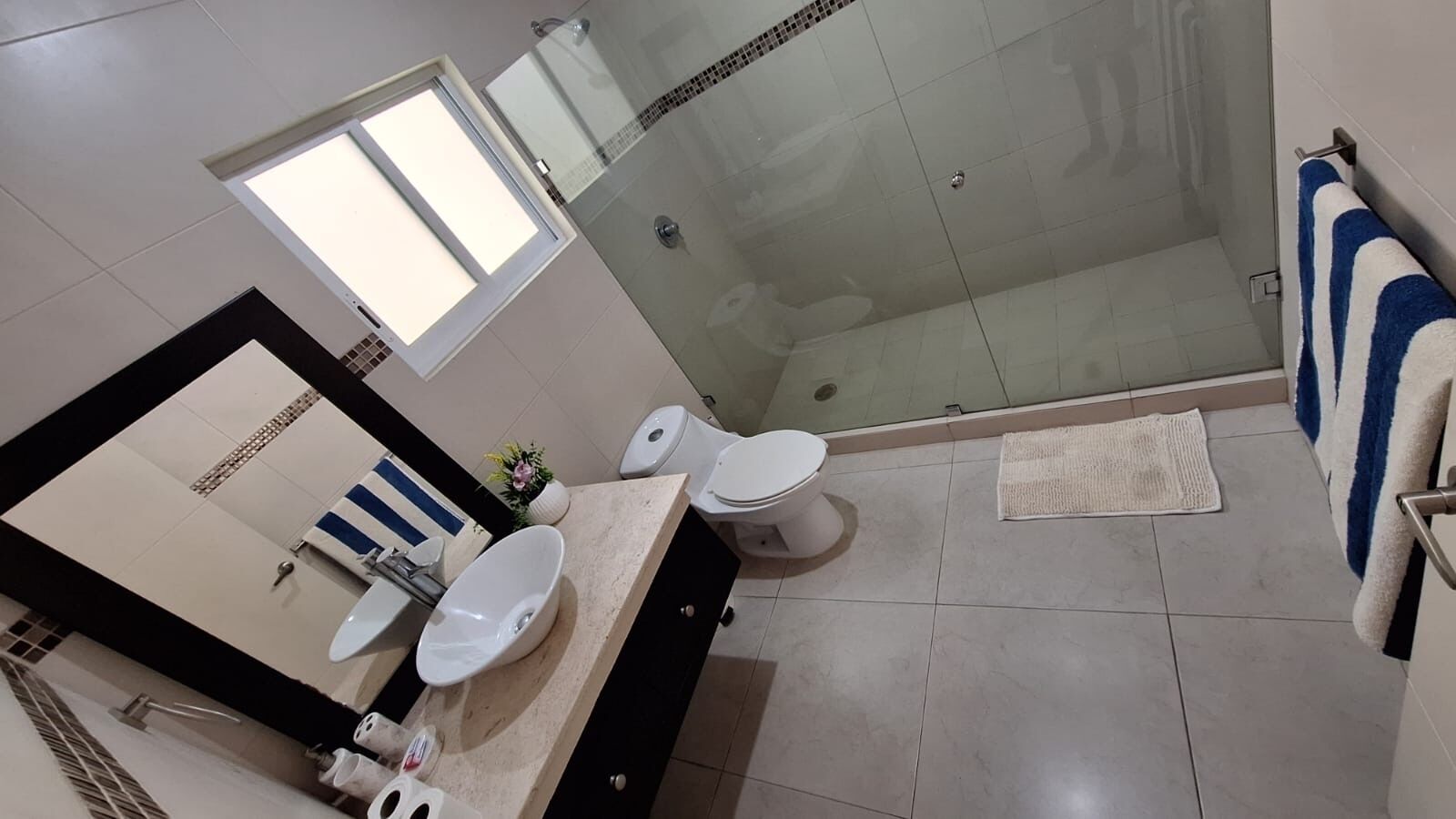 Shower, towels, soap, toilet paper
