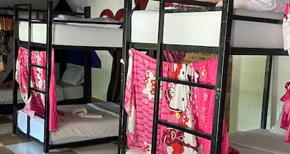 Mekong Backpackers Hostel