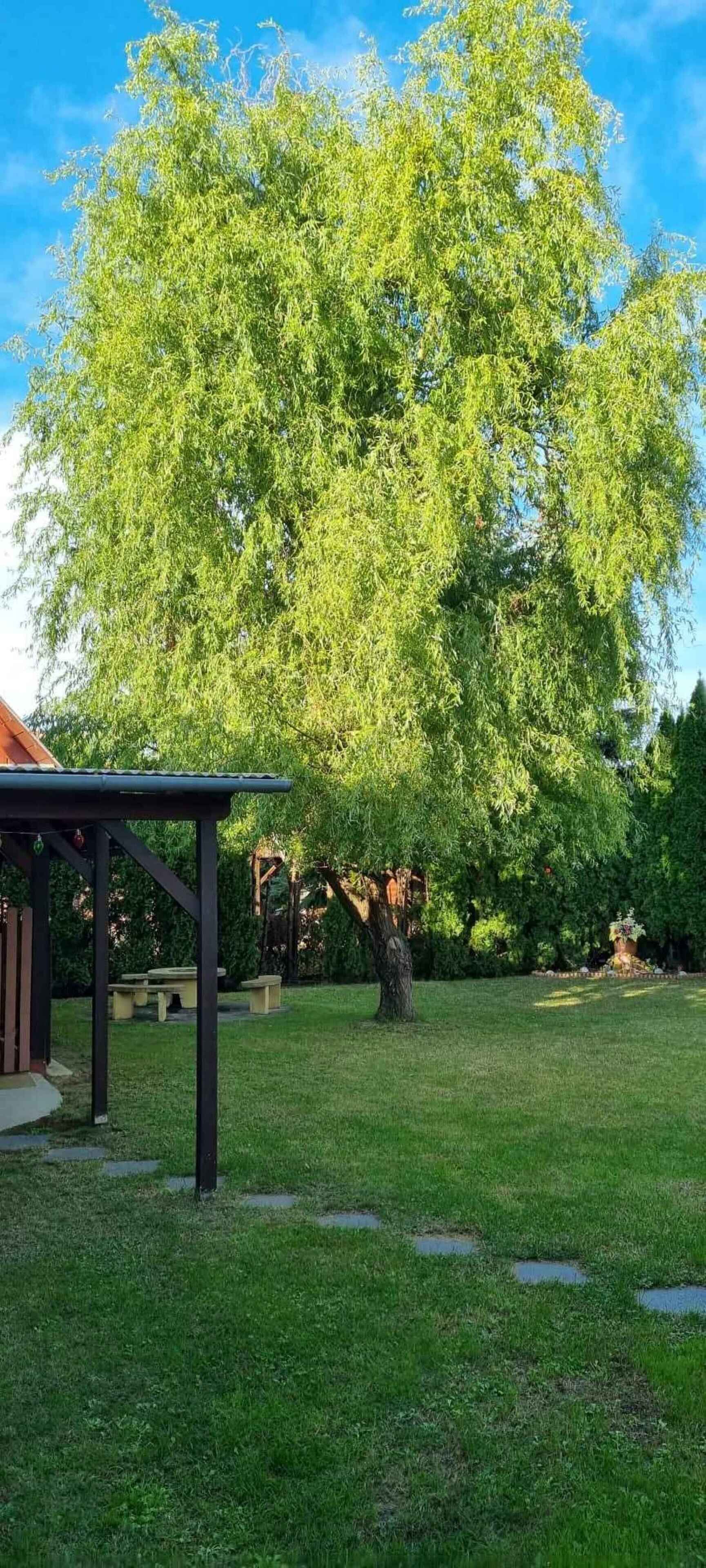 Un parc doté d’un kiosque, d’un grand arbre et d’une pelouse bien entretenue.