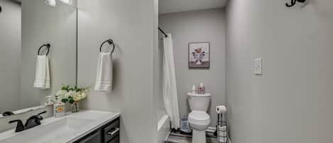 Hair dryer, towels