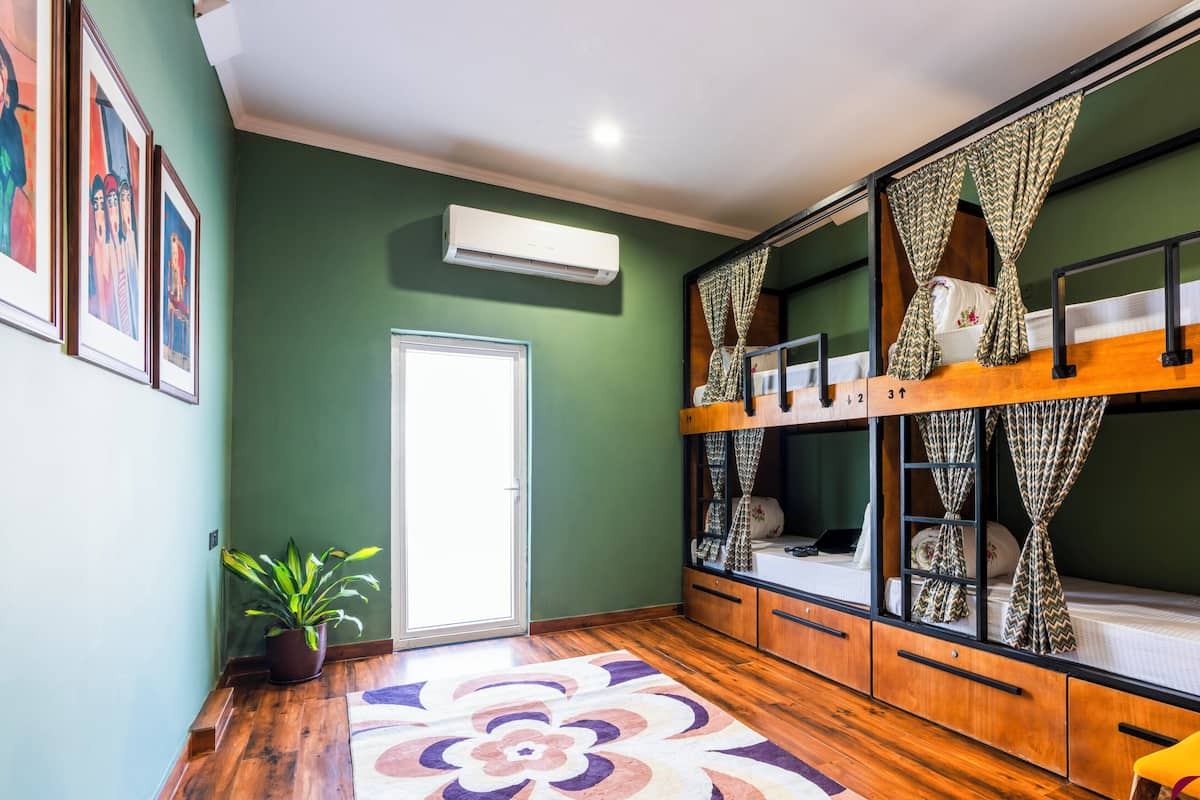 Habitación con literas, piso de madera, una planta en maceta y una alfombra colorida.