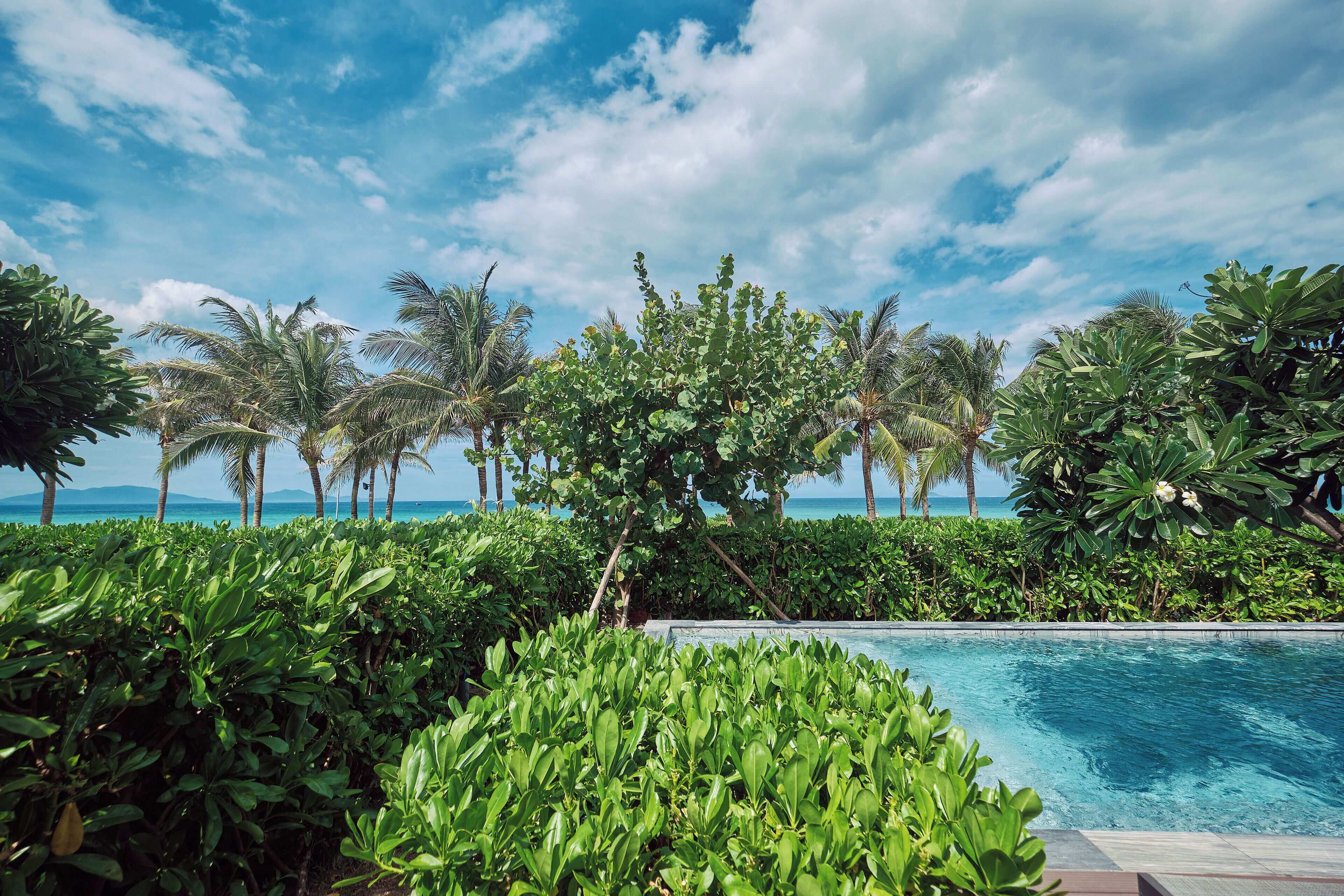 A pool surrounded by lush greenery and palm trees, with a clear view of the ocean in the background.