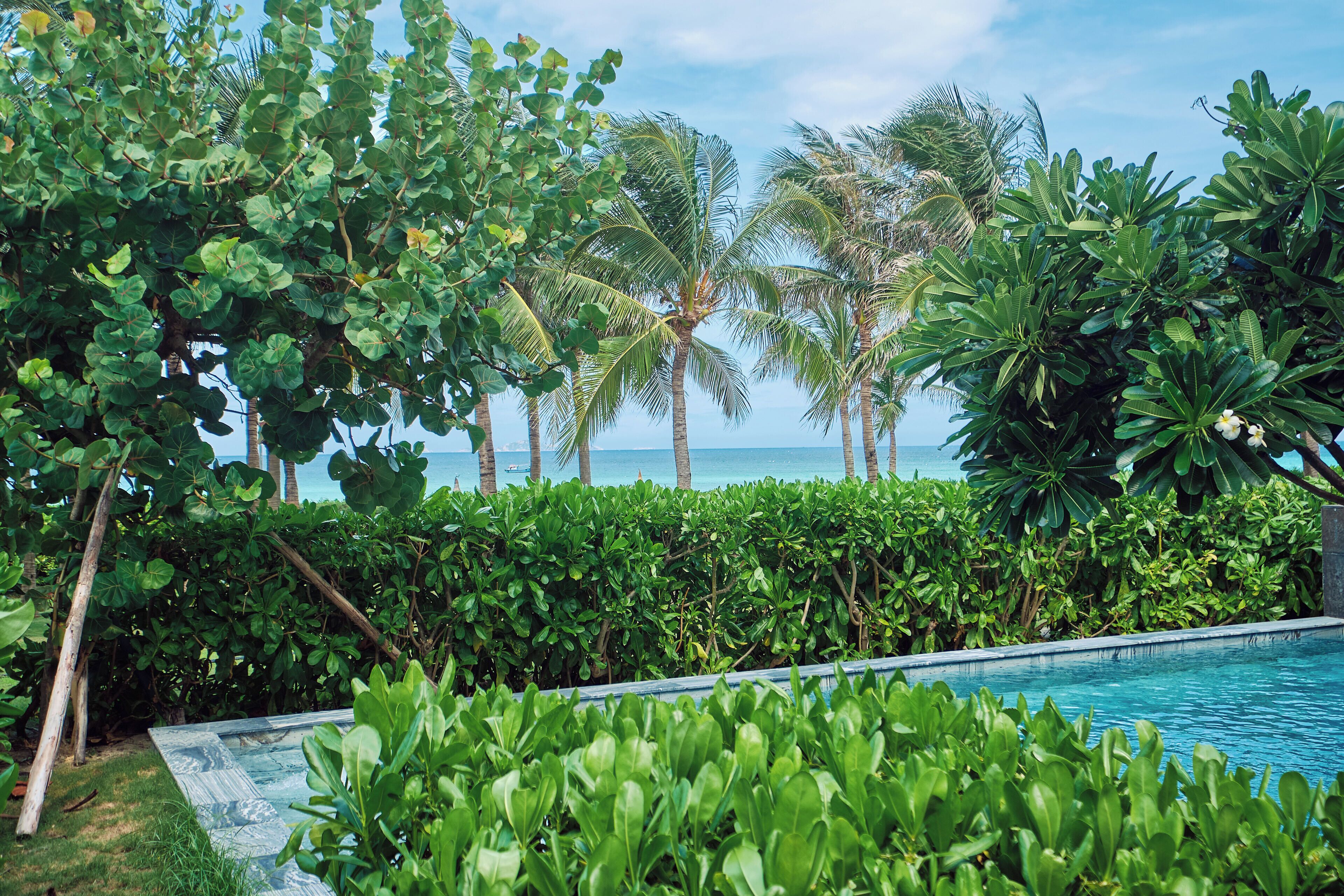 Ein Pool, umgeben von üppiger Vegetation und Palmen, mit Blick auf den Ozean.