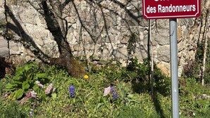 A sign reading 'Chemin des Randonneurs' in front of a rocky wall with sparse vegetation.