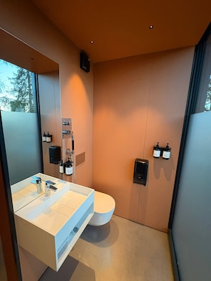 A modern bathroom with a white sink, a toilet, and a shower.