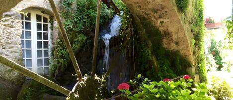 المنطقة المحيطة بالمنشأة