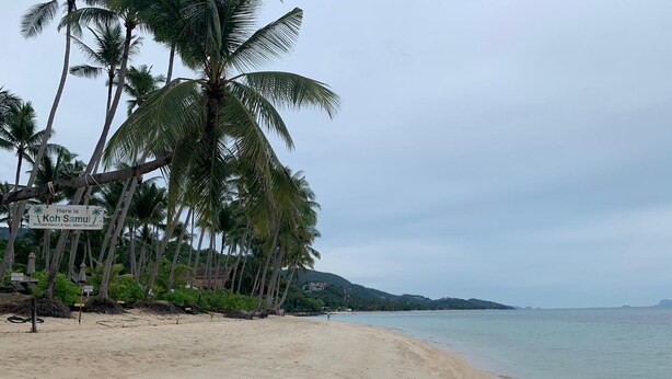 A beach with palm trees and a sign indicating Koh Samui.