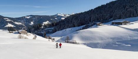 Un paysage enneigé avec un bâtiment et une piste de ski.