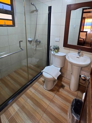 Bidet, towels, soap, toilet paper