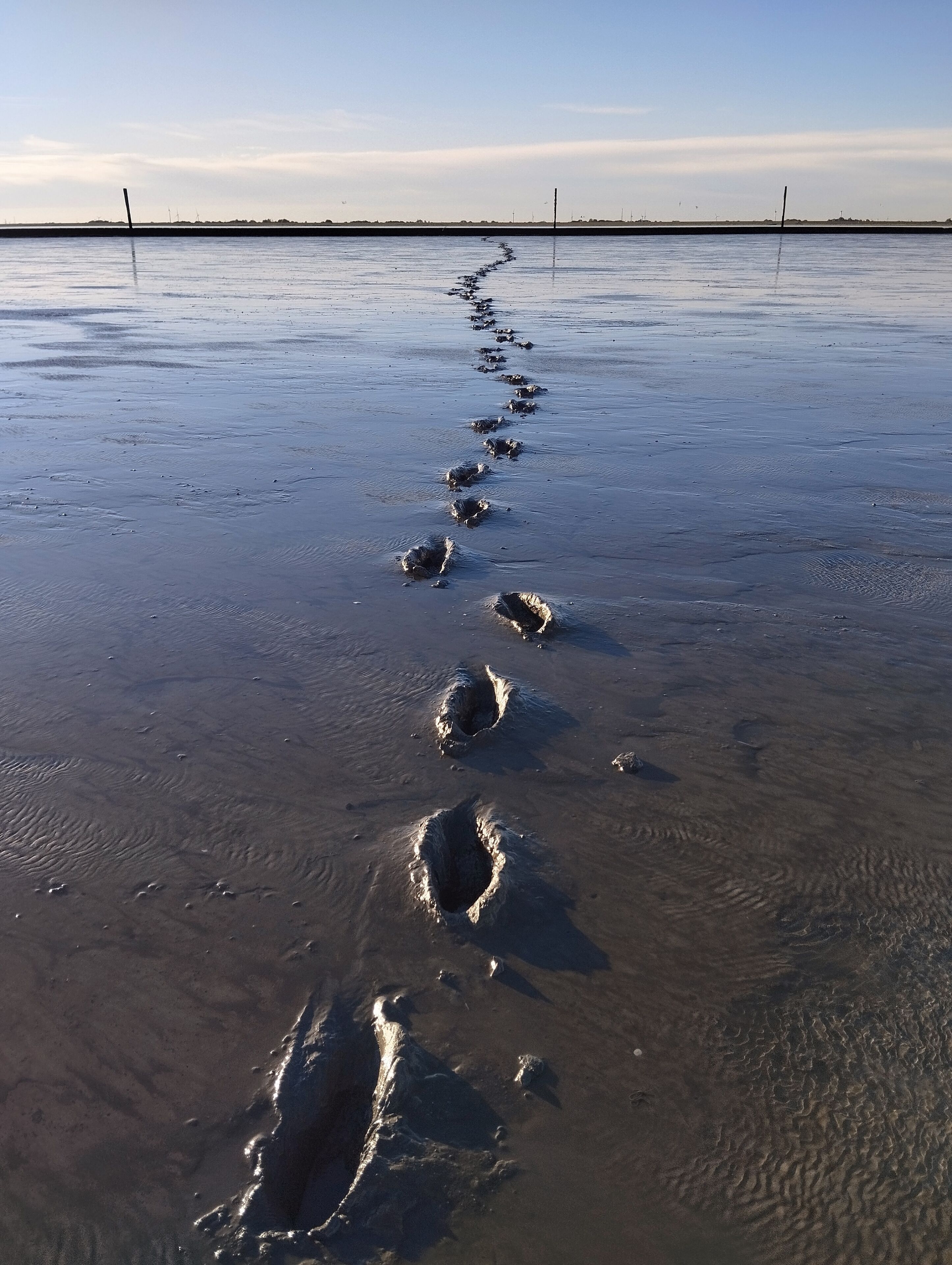 Une plage où l’on voit des empreintes de pas qui s’éloignent vers l’horizon.