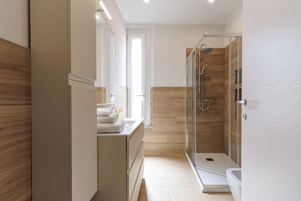 Shower, hair dryer, bidet, towels