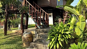Ảnh chưa phân loại, 2 trong số 18 ảnh, nút