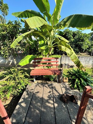 House, 1 Bedroom, Smoking, Balcony | Garden - Tranquil Wooden Holiday House With Mountain Views in Pa Phai (San Sai)