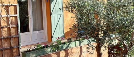 外観の詳細