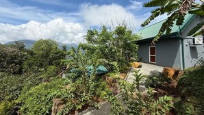 A house with a green roof, surrounded by dense vegetation and a clear sky.