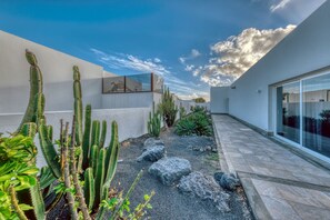 Un espace extérieur moderne agrémenté de cactus et de rochers, un mur blanc orné d’œuvres d’art et une porte vitrée donnant accès à un bâtiment.