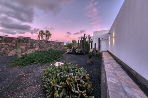 Un jardin désertique agrémenté de cactus et de palmiers, un mur de pierre et un bâtiment moderne doté d’un toit plat.