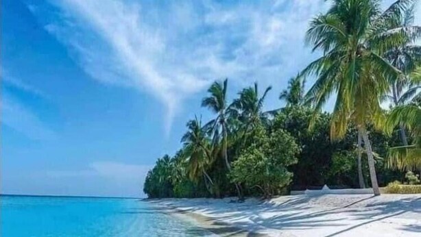Ein Strand mit klarem türkisblauem Wasser, weißem Sand und Palmen.