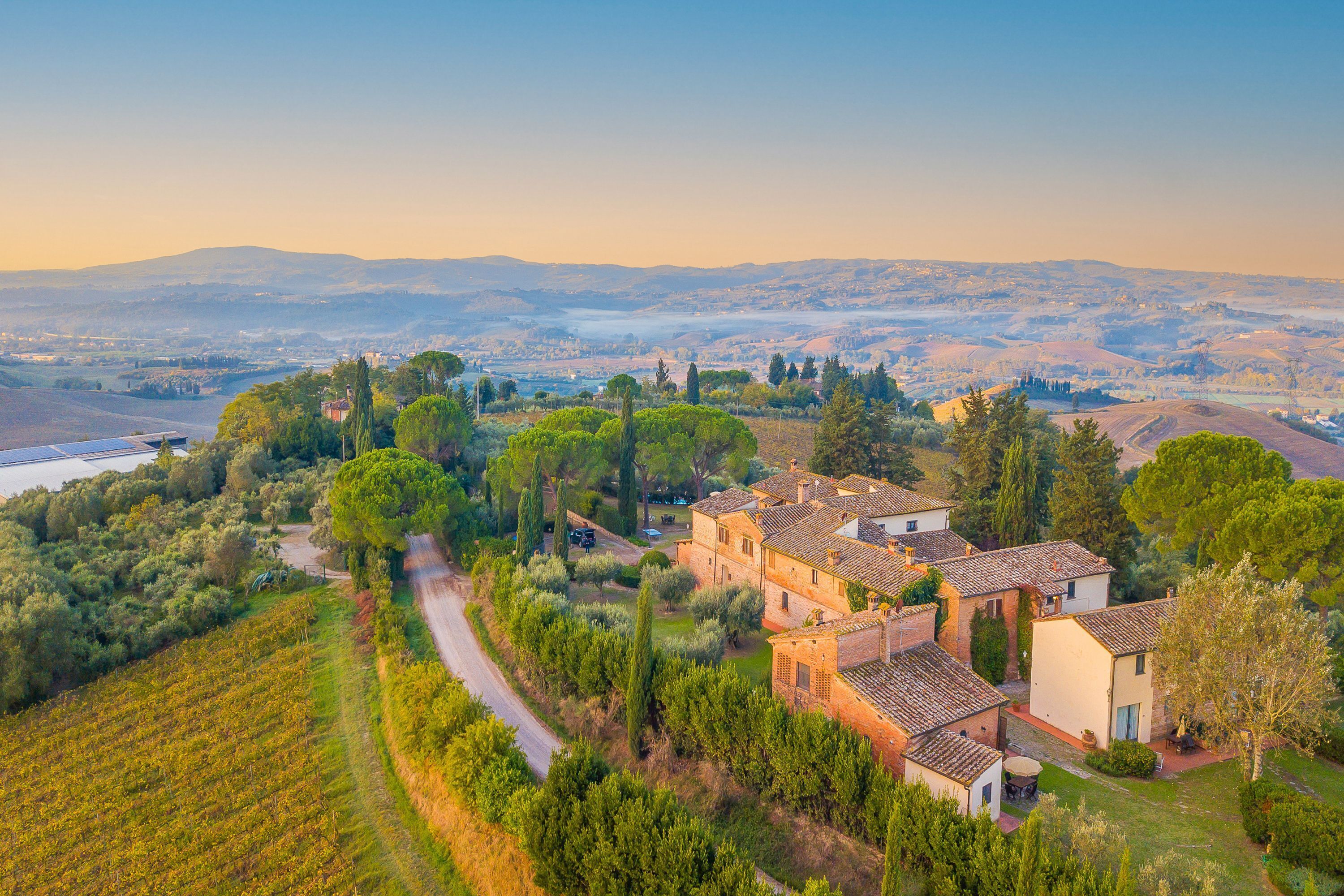 A rural villa with a vineyard, terraced fields, and a clear view of the surrounding countryside.