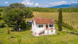 A white house with a red roof, surrounded by a vineyard, and a mountain in the background. - Cozy Counrtry House Btn Florence Arezzo4 (Terranuova Bracciolini)