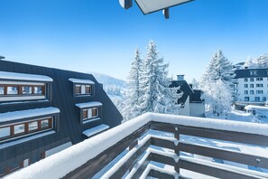 2 bedrooms - Appartamento Alpine Suite (Sestriere)