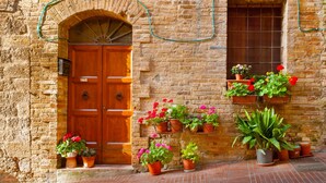 A stone building with a wooden door and window, potted plants, and a brick pathway. - Mare Sorriso 900m From Sea (Viareggio)