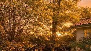 Property grounds - Chambre 2 Duc de Bouillon (Maringues)