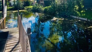 A wooden deck overlooking a calm body of water with reflections of trees and a clear blue sky.